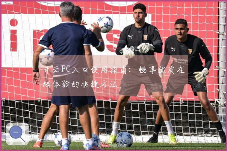 开云PC入口使用指南：畅享优质在线体验的快捷方法